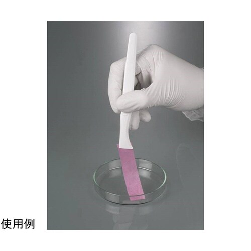 �o�r�@�f�B�X�|�s���Z�b�g