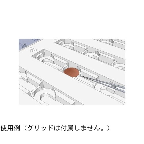 横入れグリッドケース