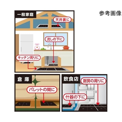 チュークリンブラックプロ・メガハウス