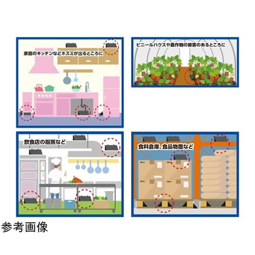 チュークリンブラックプロ・メガハウス