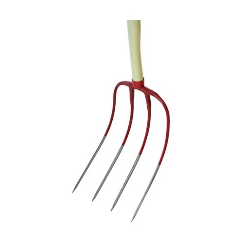 ہ@pCvz[NS{܁@Sc@XOP