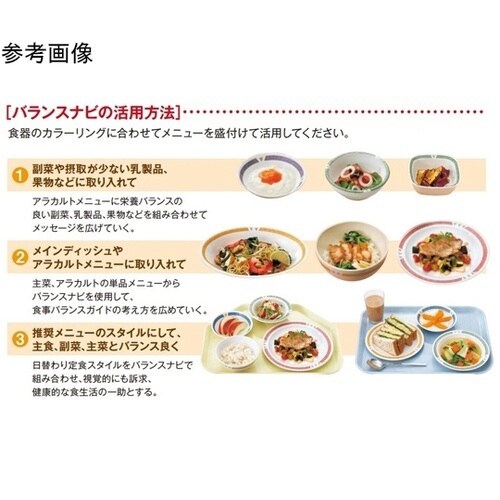 23cm スープ皿 バランスナビ