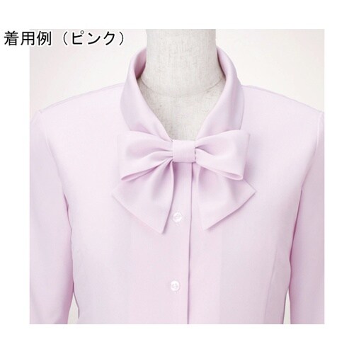 �d�m�i�n�x�@�������{���u���E�X�@�`�h�q