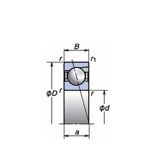 ���{���H�i�m�r�j�j