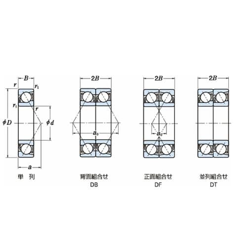 ���{���H�i�m�r�j�j