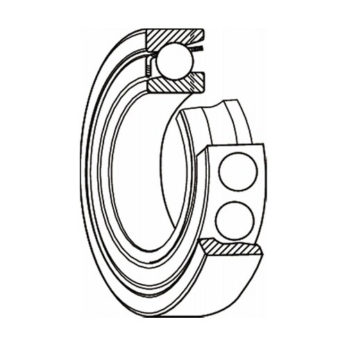 ���{���H�i�m�r�j�j