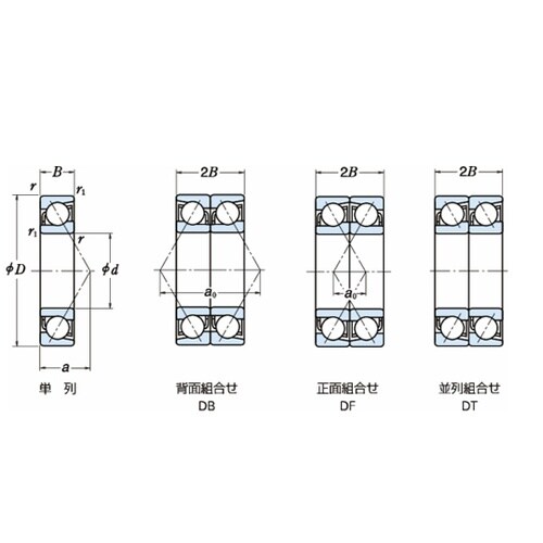 ���{���H�i�m�r�j�j�@�P��A���M�����ʎ���