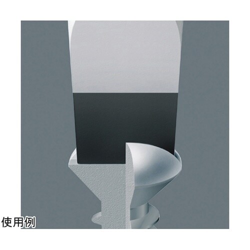 �ђʃ|�W�h���C�o�[