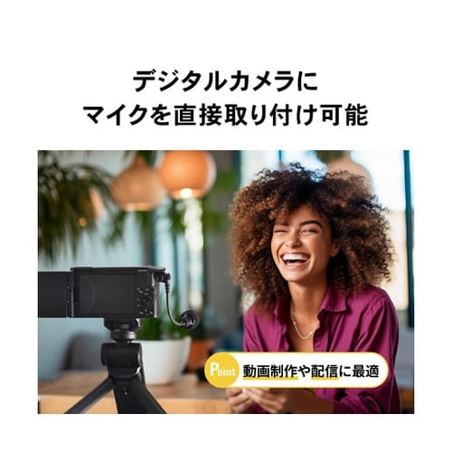 モノラルマイクロホン