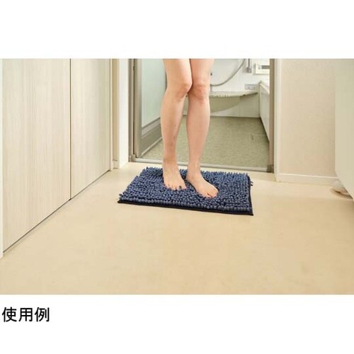 SUSU 抗菌ストロングWバスマットEC
