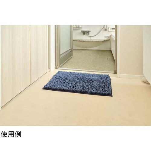 SUSU 抗菌ストロングWバスマットEC