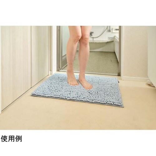 SUSU 抗菌ストロングWバスマットEC