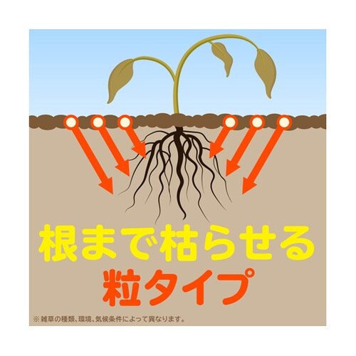 アースガーデン おうちの草コロリ