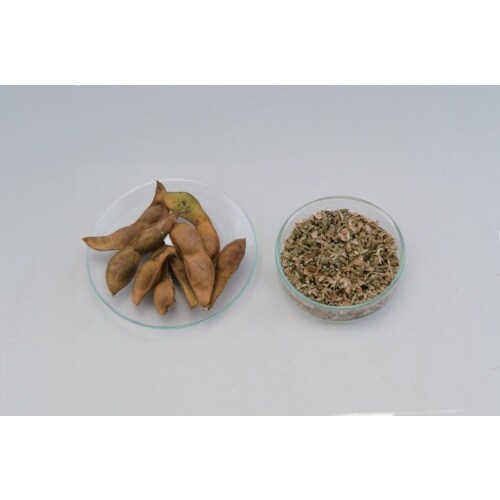 v`qhmf@VOPPgab@{gu_[@Q