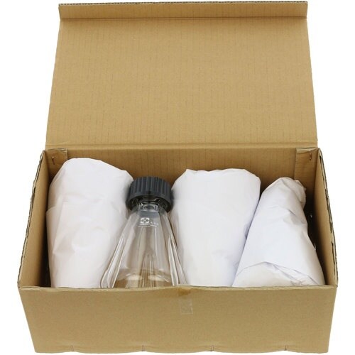 rha`s`@˂UṎOptXR@obtt@