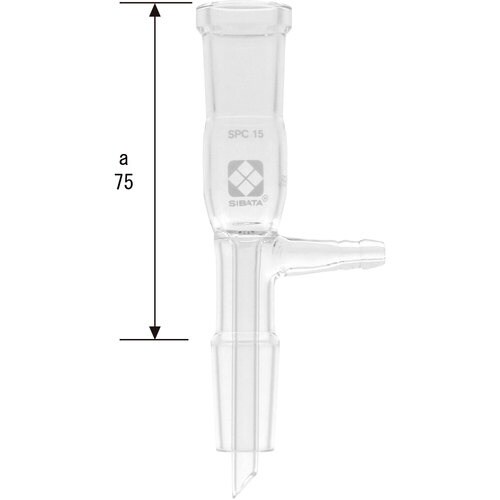 rha`s`@robAǁ@pǁ@Ǖt@r