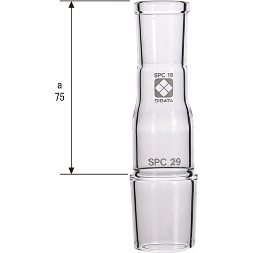 rha`s`@robAǁ@aႢ@kp@rob