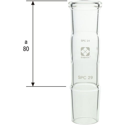 rha`s`@robAǁ@aႢ@kp@rob