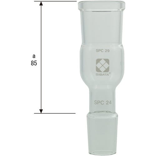 rha`s`@robAǁ@aႢ@gp@rob