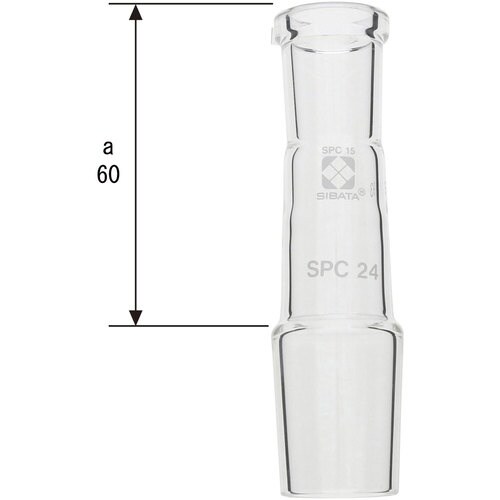 rha`s`@robAǁ@aႢ@kp@rob