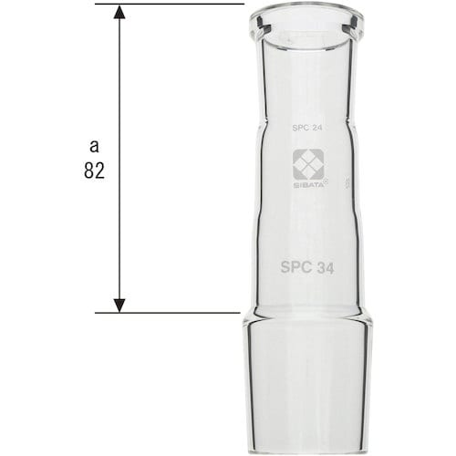 rha`s`@robAǁ@aႢ@kp@rob