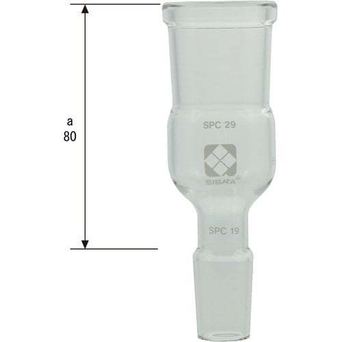 rha`s`@robAǁ@aႢ@gp@rob