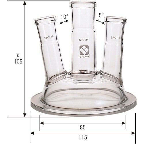 rha`s`@robZpuJo[@WT@R