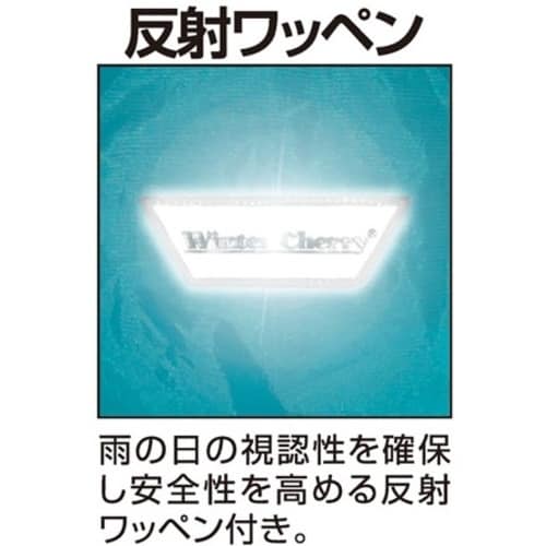 JWCN@fBtFhCX[c@^[RCY@