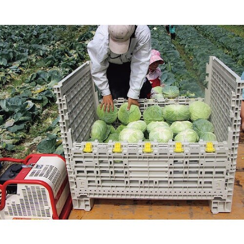 TR[@WOUUQO@skRpb^[eWR