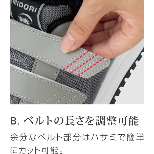 ~hS@[Nq́@cXj[J[@lvi