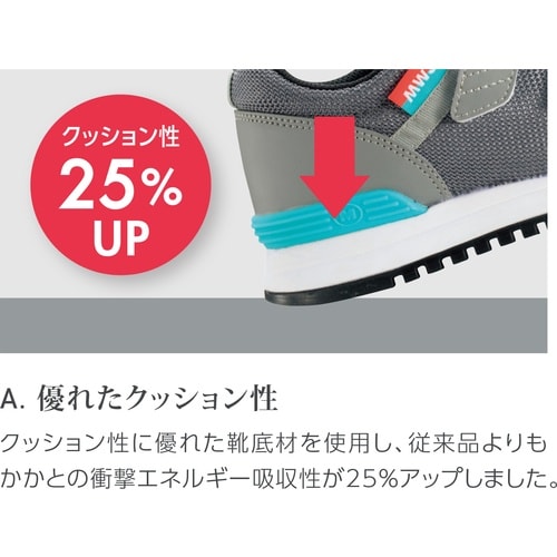 ~hS@[Nq́@cXj[J[@lvi