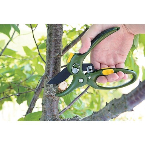 j`jtqh@p[Abvi֐nj@rfr