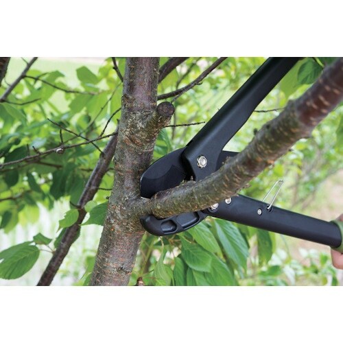 j`jtqh@p[Abv~j}@fot|R