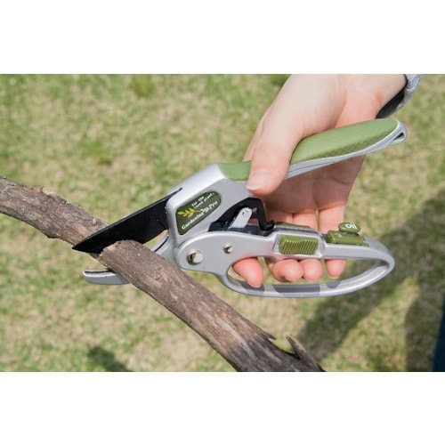 j`jtqh@K[fc[Zbg@fsr|OPO