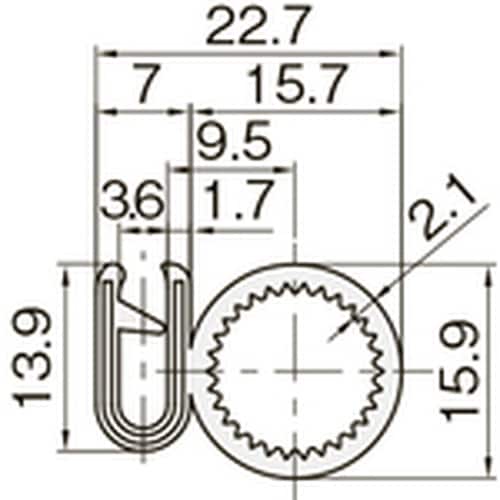 hv`s`@gV[@i̐^j@ϖsod