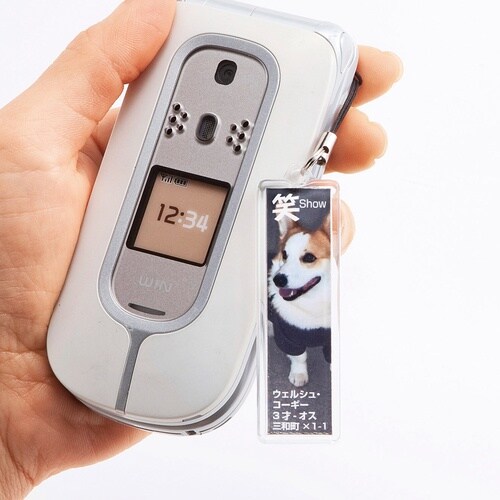 r`mv`@XgbvLbgiXeBbN^j