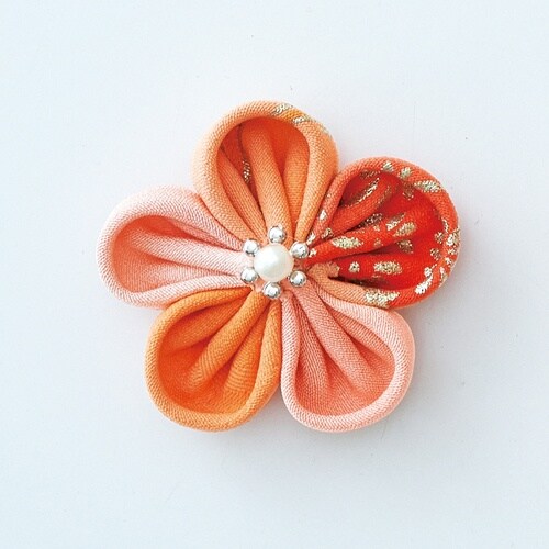 bknudq@܂ݍ׍Hv[gۂЂ܂݂rr