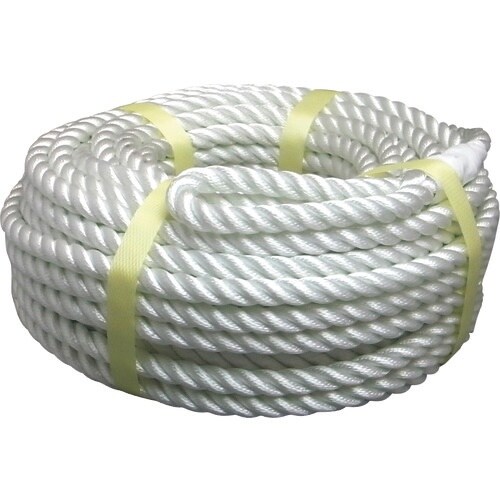 ܂@dEC`piC[viRłj@