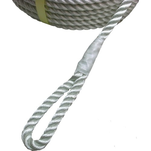 ܂@dEC`piC[viRłj@