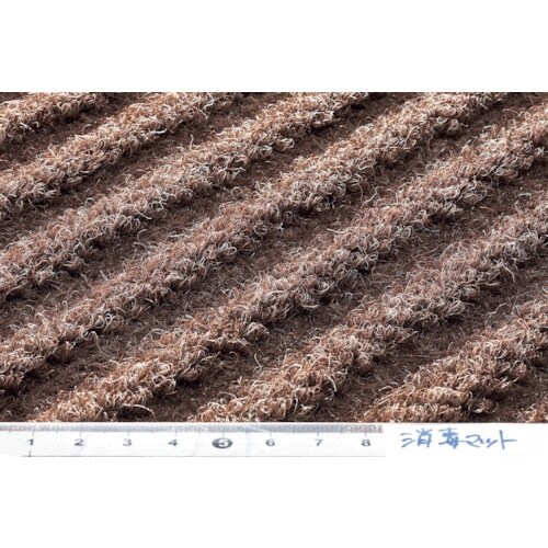 Rh@Ń}bgx[XiVRdljZbgi