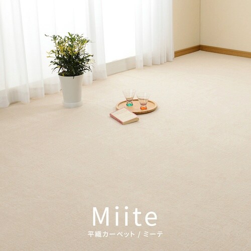 @Y@Rیʁ@~l߁@܏J[ybg@~