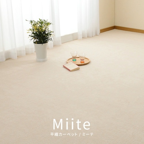 @Y@Rیʁ@~l߁@܏J[ybg@~