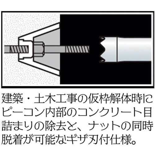 xXgc[@adrs@nts[Rp\Pbg@P