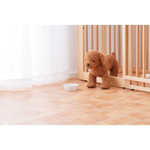 @REBXERہEhJr@\t@@ł