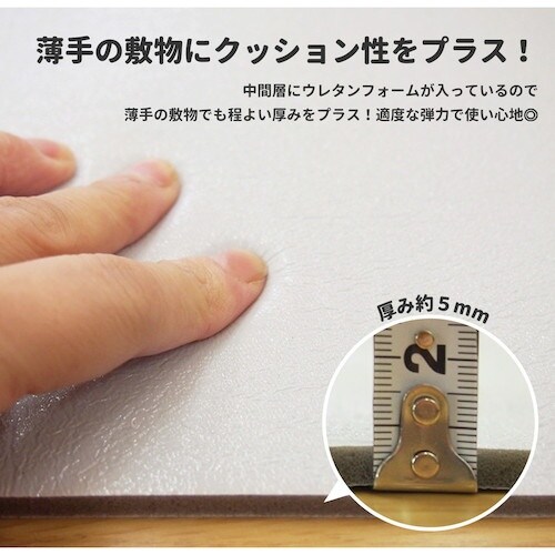 @ӂӂz~߃V[g@s^肸ށ@