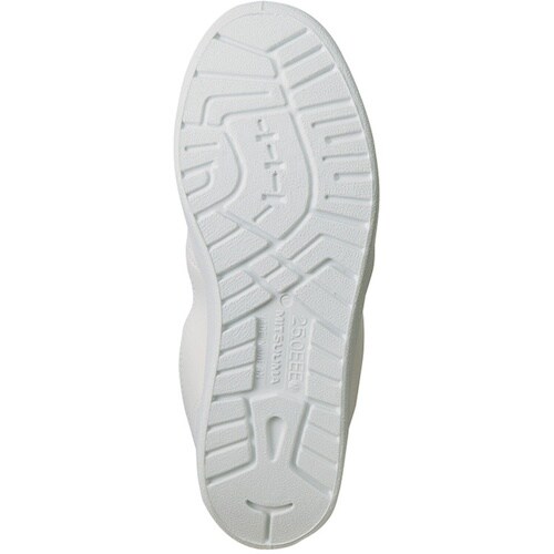 ACgX@N[[V[Yin[tu[cji