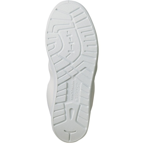 ACgX@N[[V[Yin[tu[cji