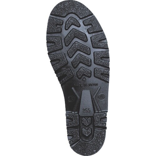 ~hS@SC@vPOOOmO[@QRDT