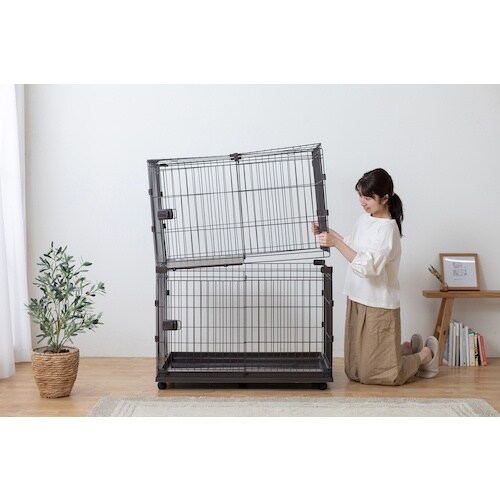 hqhr@QXUOTV@Rrl[VT[Np