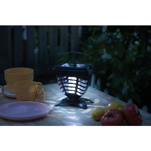 s`rrbnl@Rv`x\[[E@Qg